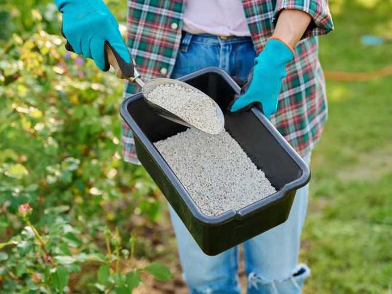 najbolja mineralna gnojiva